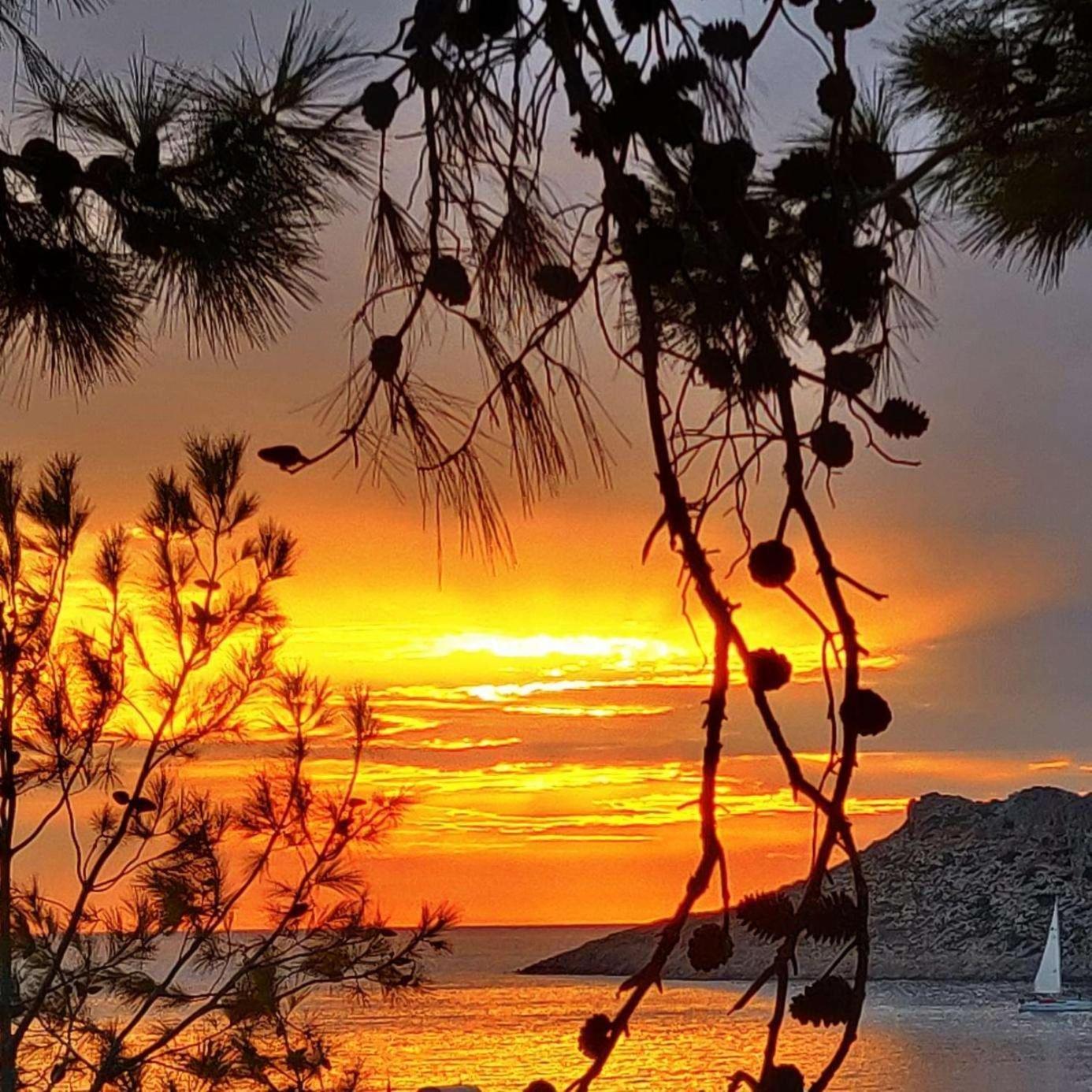 Myrties Aphrodite Studios Kalymnos المظهر الخارجي الصورة