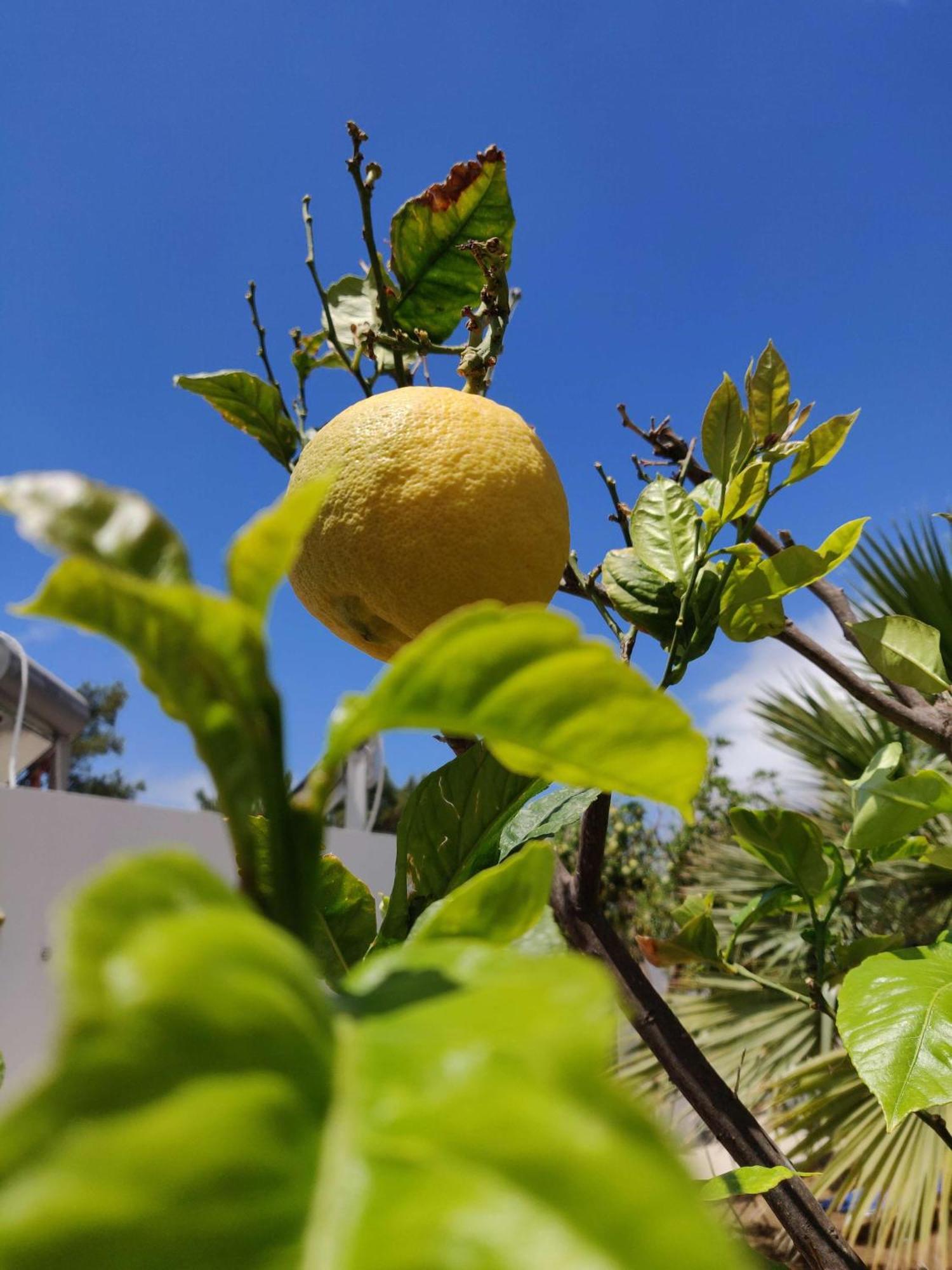Myrties Aphrodite Studios Kalymnos المظهر الخارجي الصورة