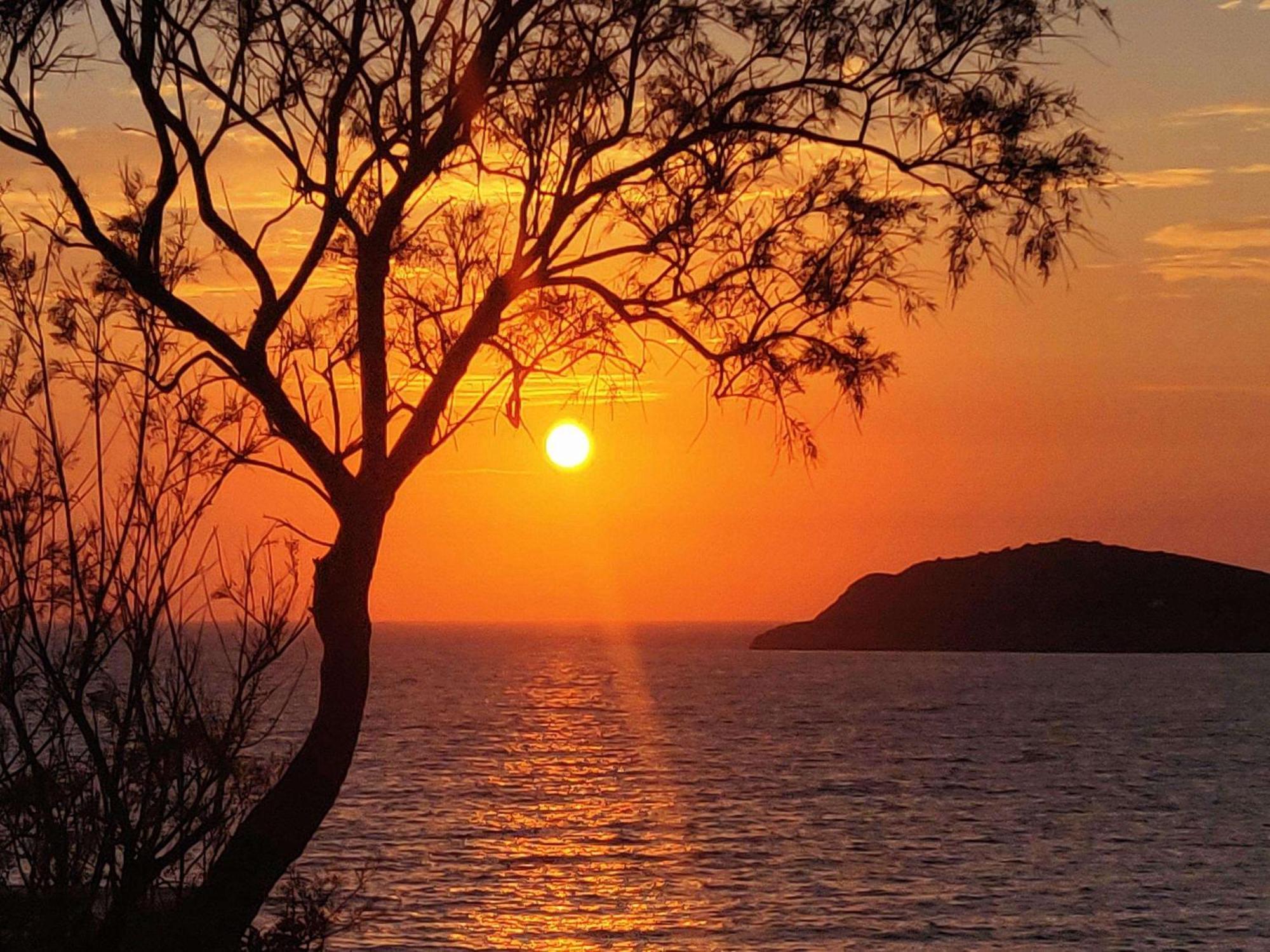 Myrties Aphrodite Studios Kalymnos المظهر الخارجي الصورة